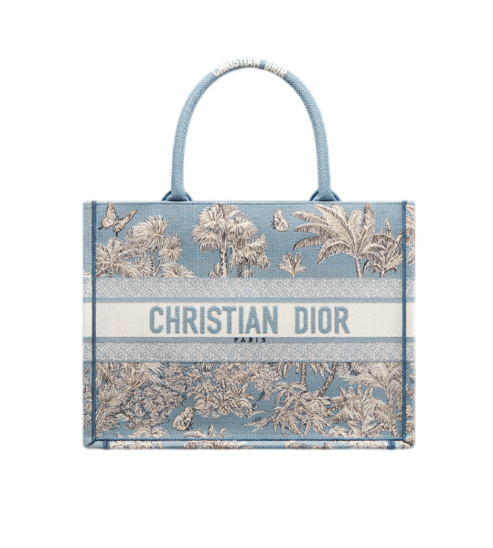 Dior Book Tote