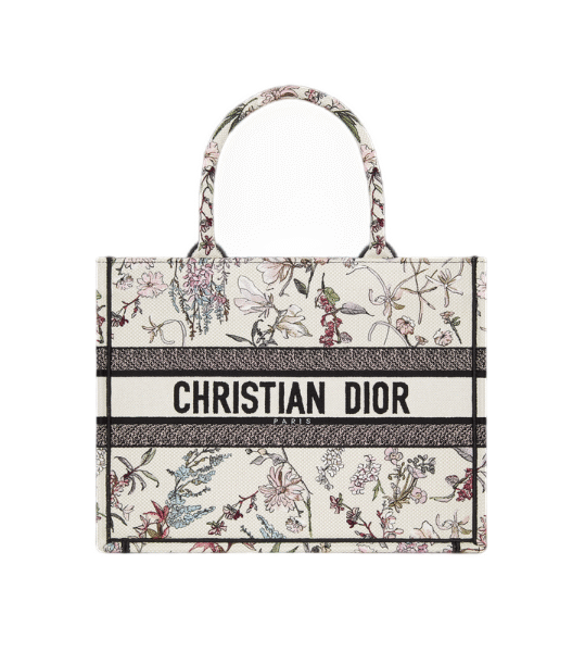 Dior Book Tote