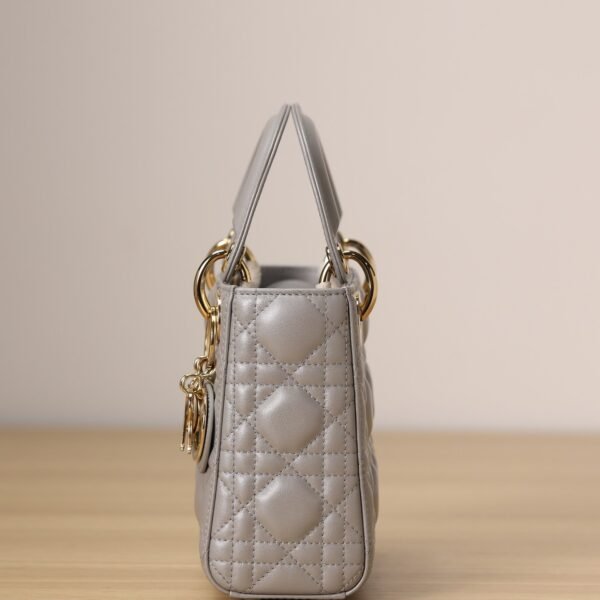 Mini Lady Dior handbag(channel)