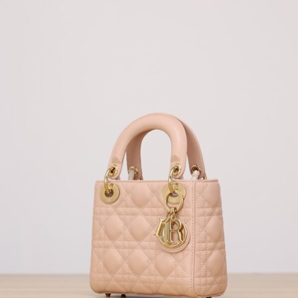 Mini LADY DIOR handbag(channel)